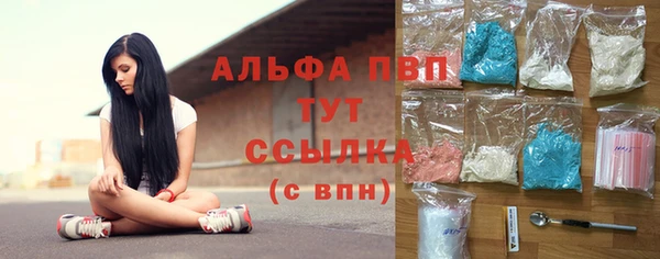 гашик Каменка
