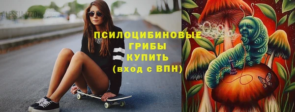 тгк Россошь