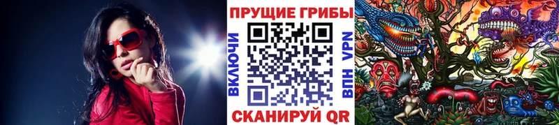 Псилоцибиновые грибы MAGIC MUSHROOMS  OMG ссылки  Касимов 