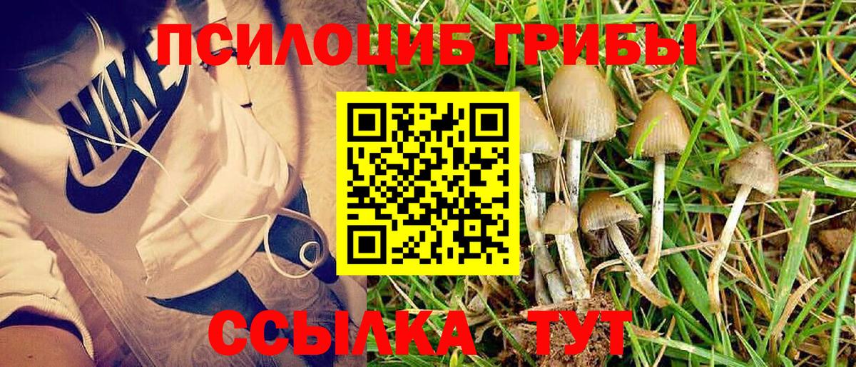 Галлюциногенные грибы MAGIC MUSHROOMS  Вход с VPN  Галлюциногенные грибы мицелий  Касимов 