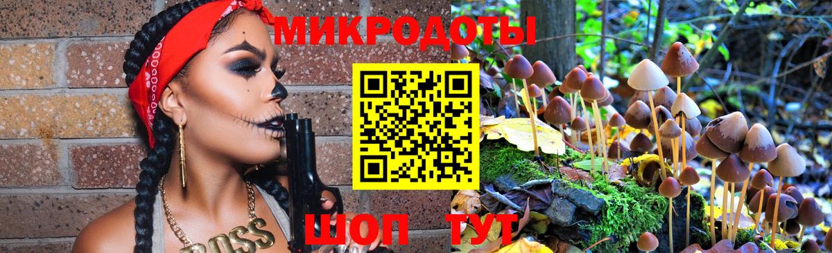 Галлюциногенные грибы Psilocybine cubensis Касимов